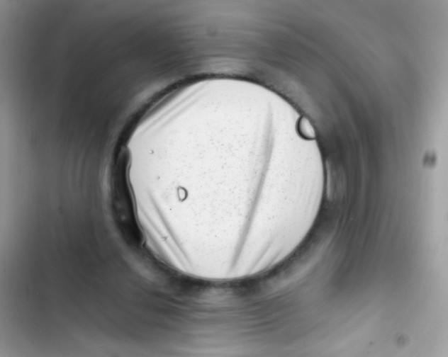 X0000103150252200809192036