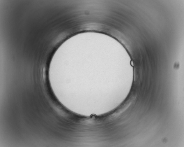 X0000103150253200809192036