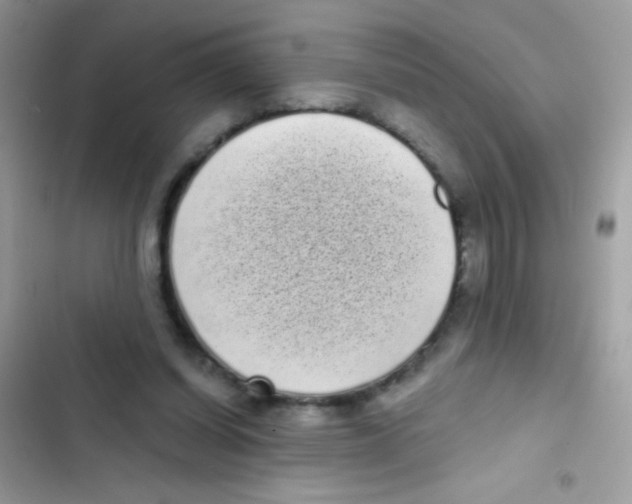 X0000103150254200809192036