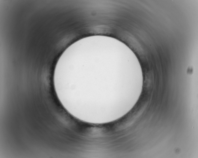 X0000103150255200809192036