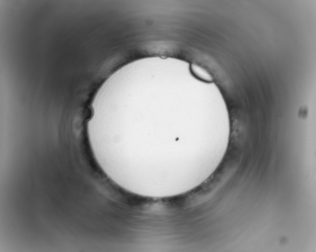 X0000103150259200809192036