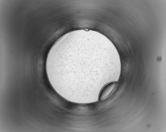 X0000103150260200809192036