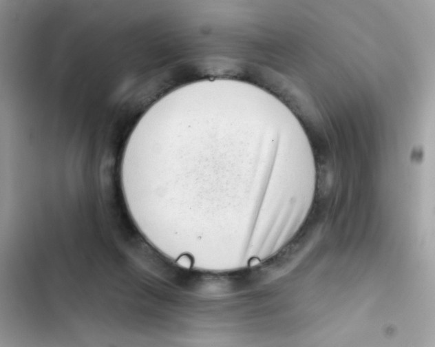 X0000103150263200809192036