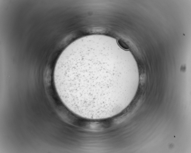 X0000103150264200809192036