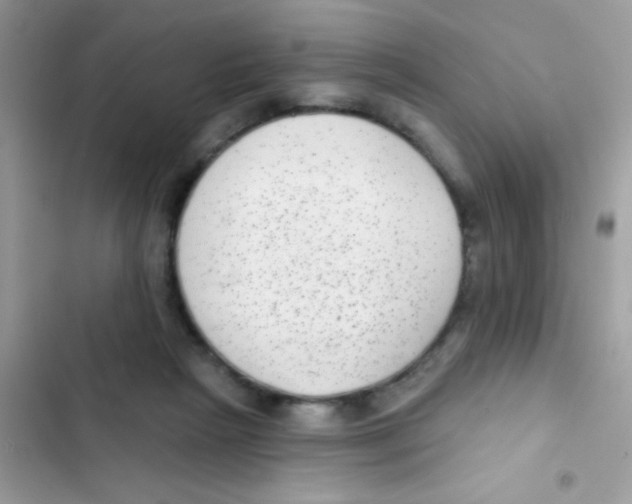 X0000103150265200809192036