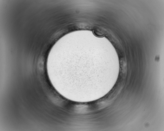 X0000103150266200809192036