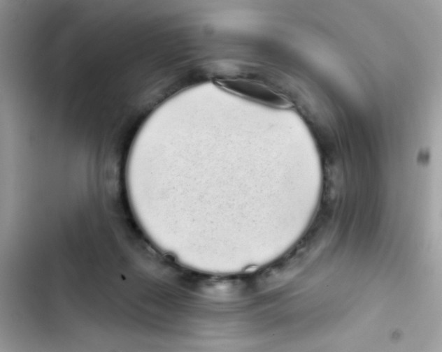 X0000103150267200809192036