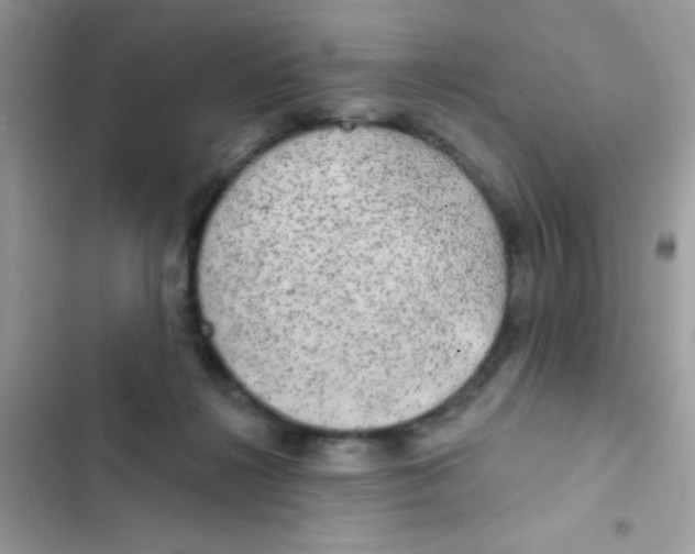 X0000103150268200809192036