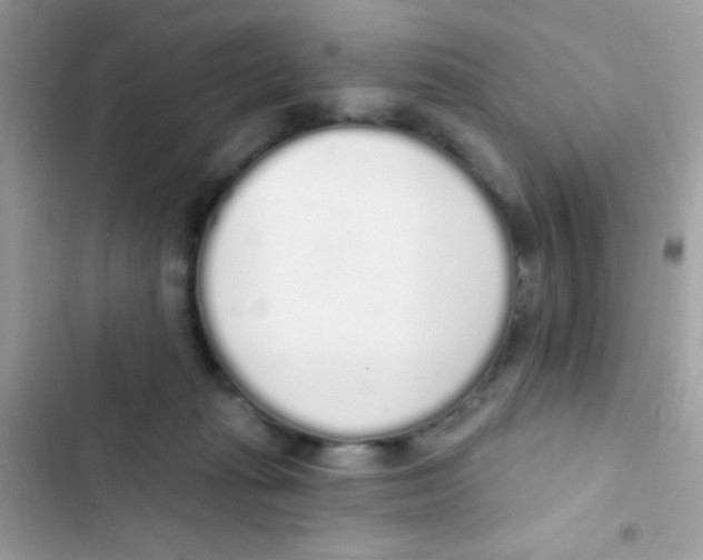 X0000103150269200809192036