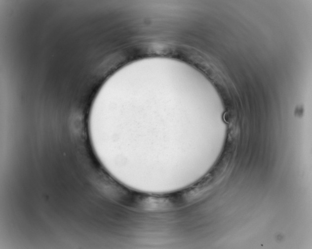 X0000103150270200809192036