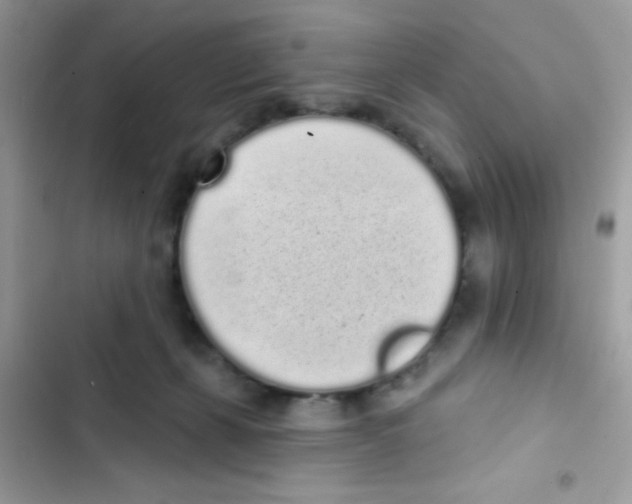 X0000103150271200809192036