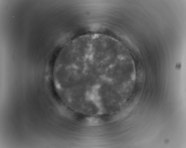 X0000103150272200809192036