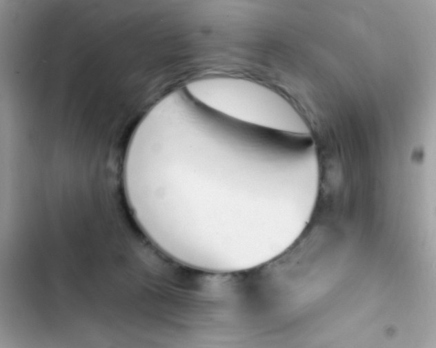 X0000103150273200809192036