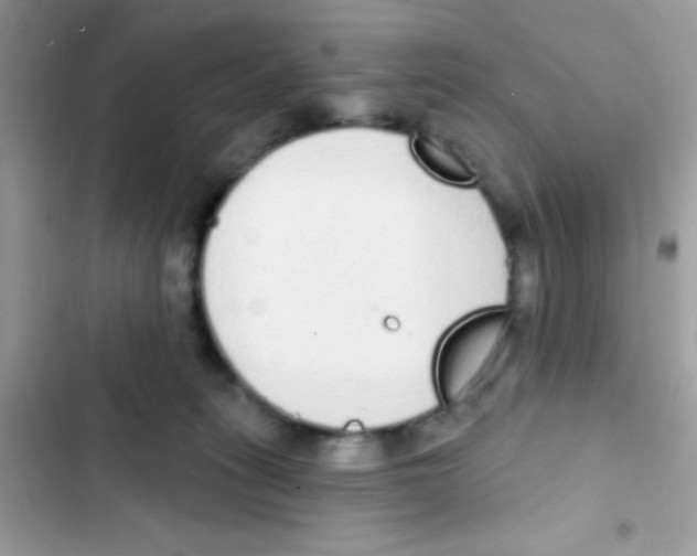 X0000103150275200809192037