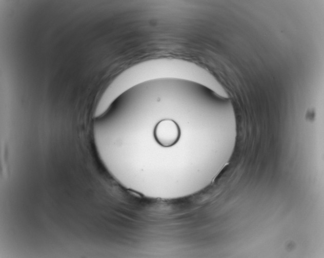 X0000103150276200809192037