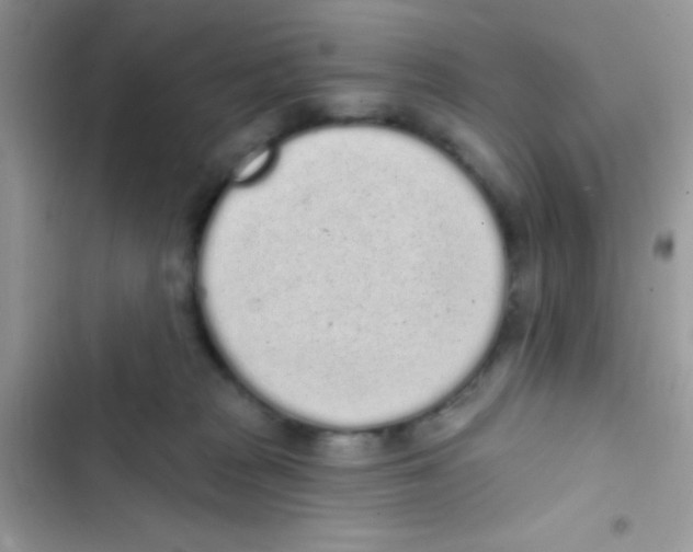 X0000103150277200809192037