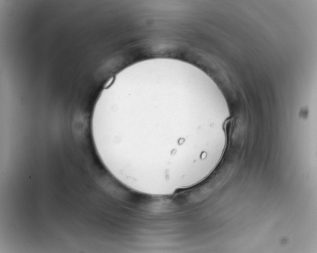 X0000103150278200809192037