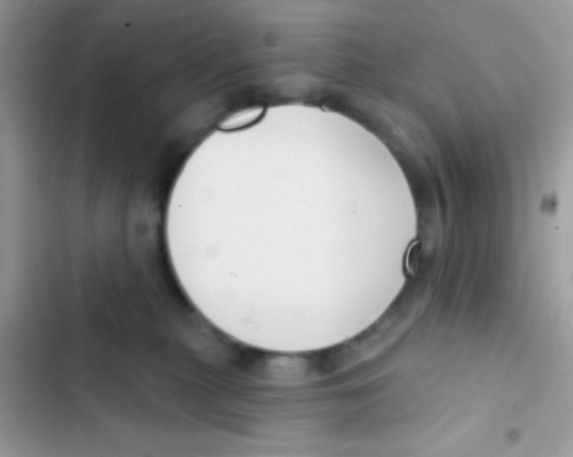 X0000103150279200809192037