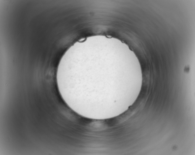 X0000103150280200809192037