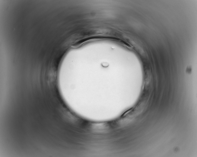 X0000103150281200809192037