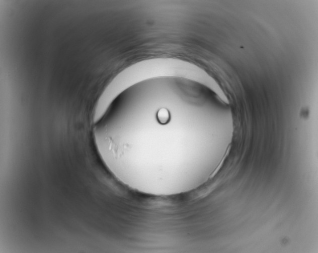 X0000103150284200809192037