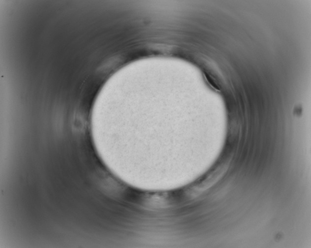 X0000103150285200809192037