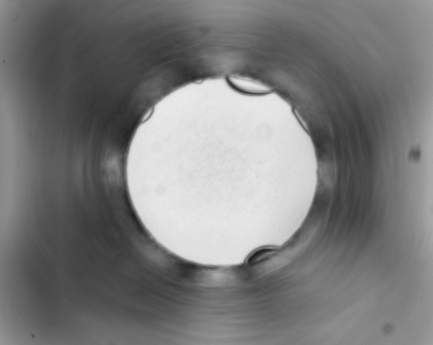 X0000103150286200809192037