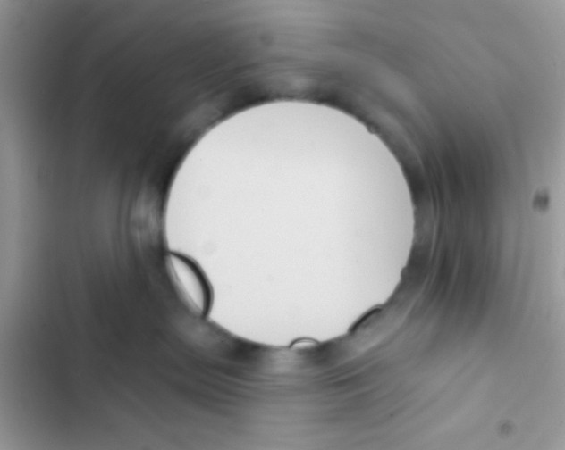 X0000103150287200809192037