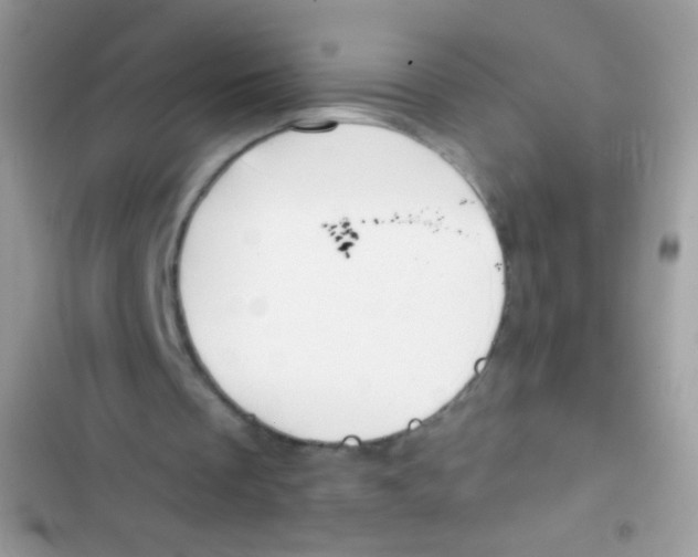 X0000103150289200809192036