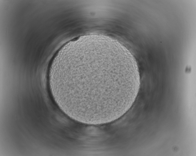 X0000103150290200809192036