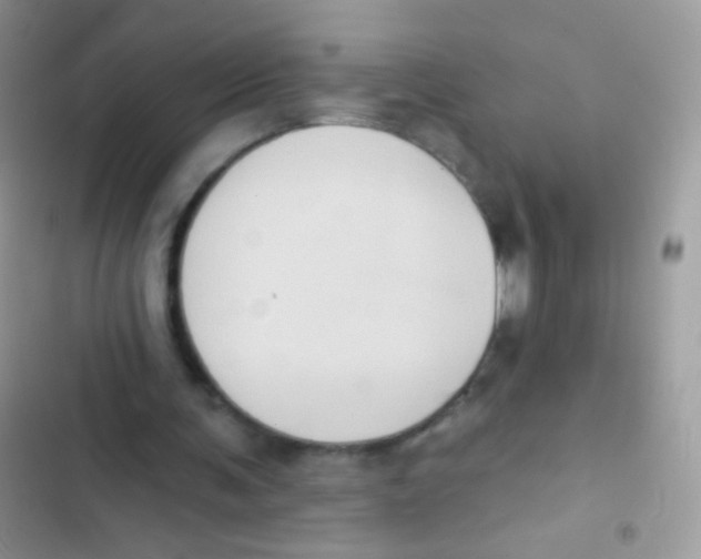 X0000103150291200809192036