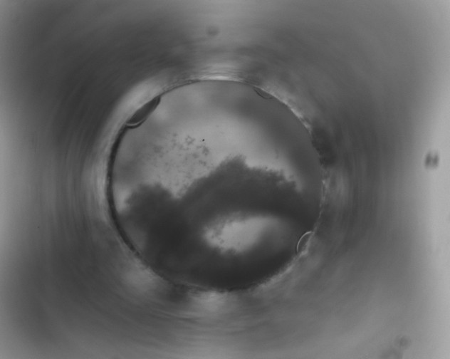 X0000103150293200809192036