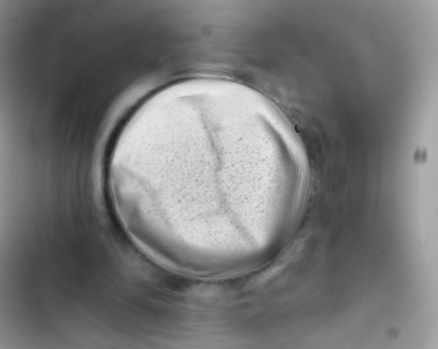 X0000103150294200809192036