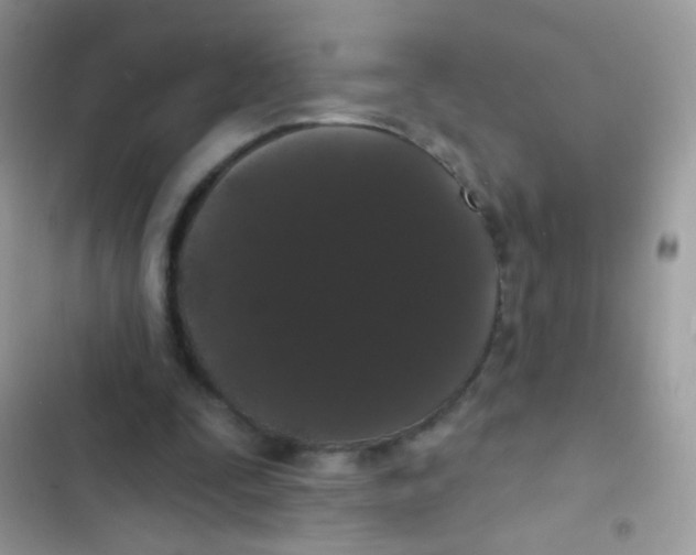 X0000103150295200809192036