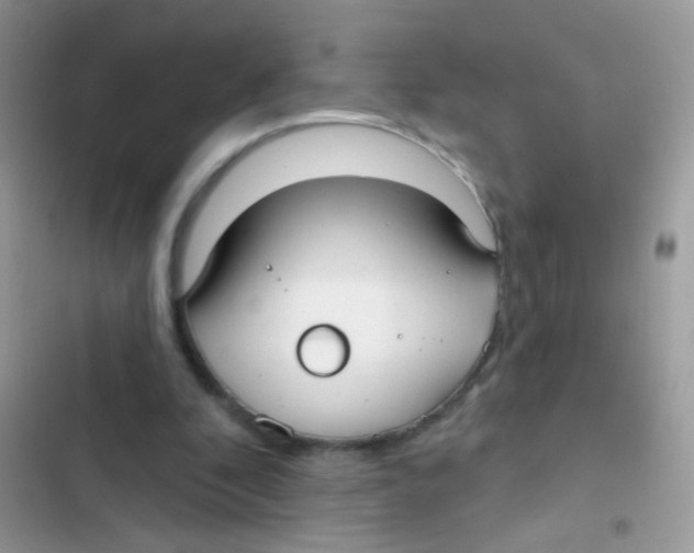 X0000103150296200809192036