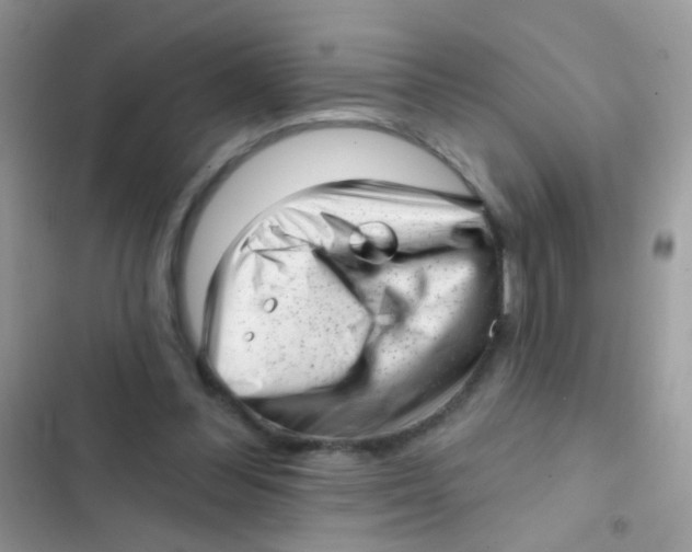 X0000103150300200809192036