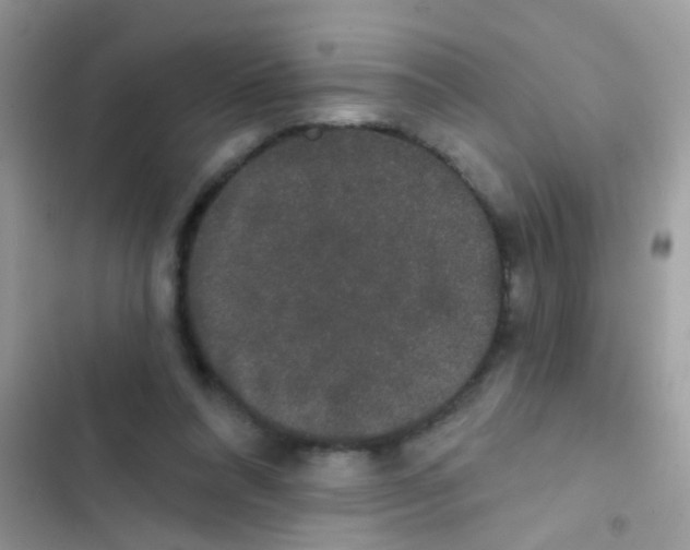 X0000103150304200809192035