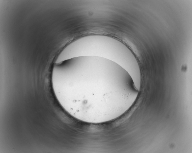 X0000103150305200809192035