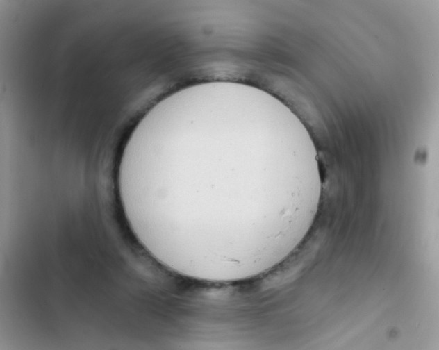 X0000103150306200809192035