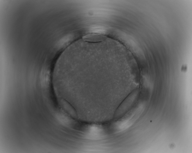 X0000103150308200809192035