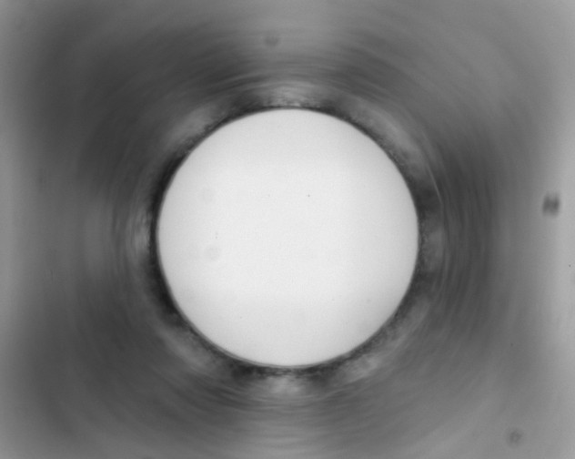 X0000103150310200809192035