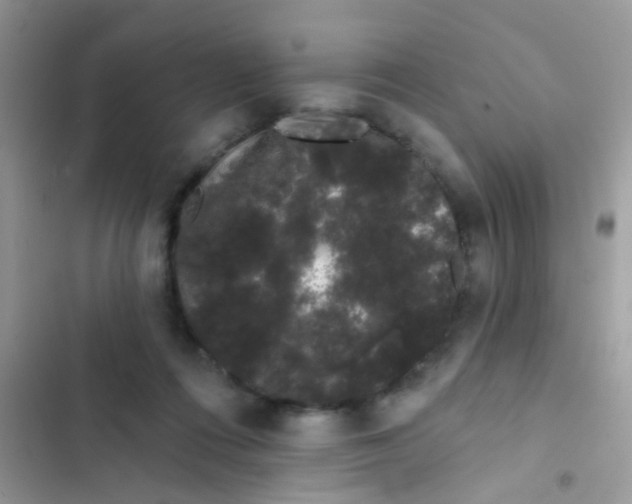 X0000103150312200809192035