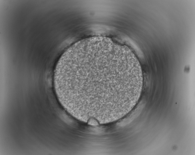 X0000103150313200809192035