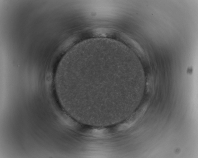 X0000103150314200809192035