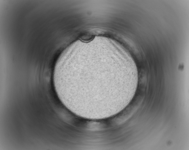 X0000103150315200809192035