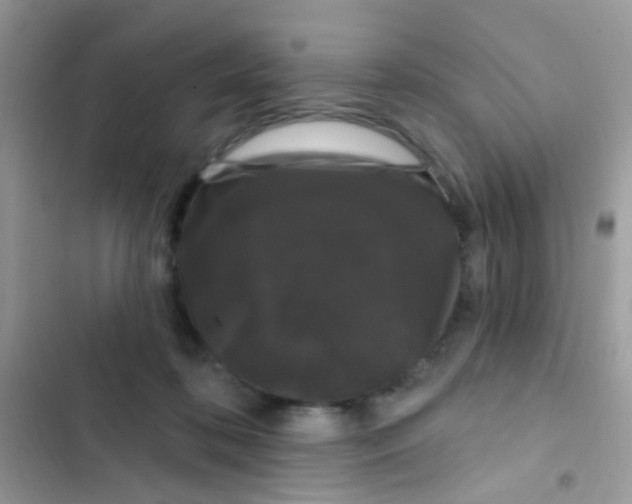 X0000103150316200809192035