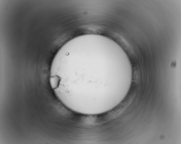 X0000103150318200809192035