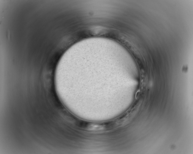 X0000103150319200809192035