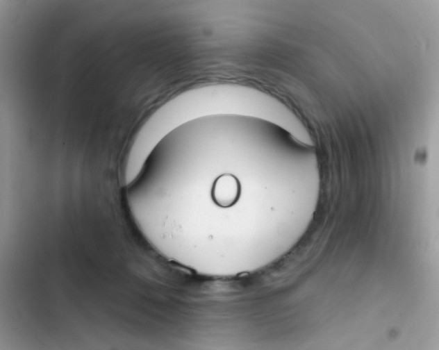 X0000103150320200809192035