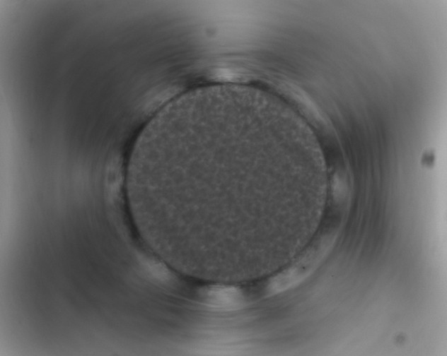 X0000103150322200809192035